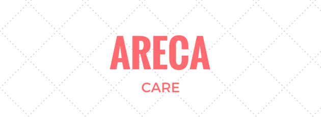 Areca Care