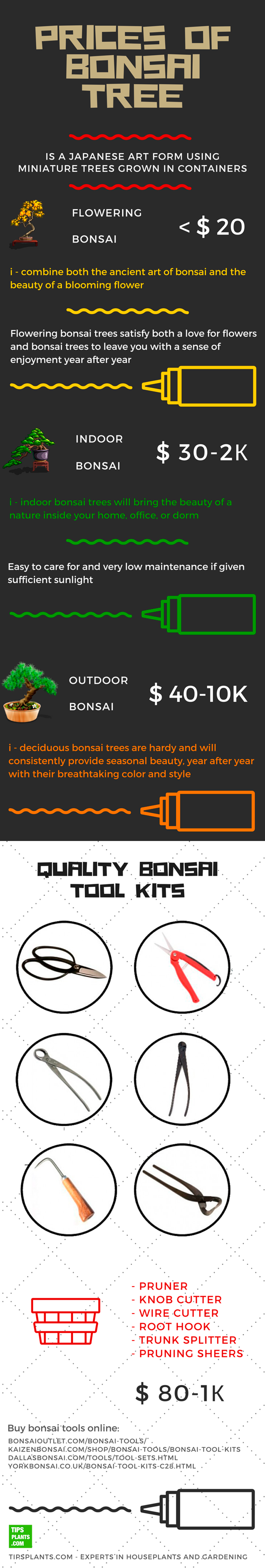 Prices Of Bonsai Tree
