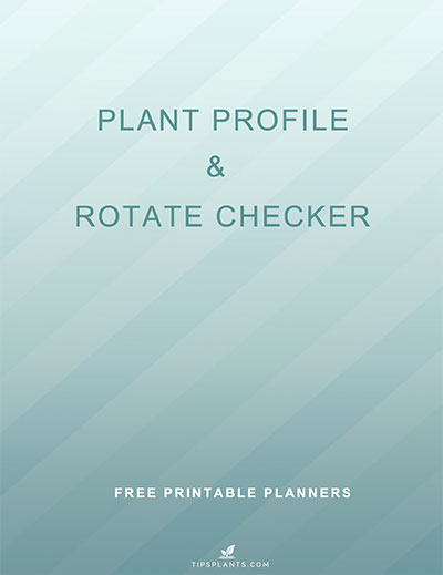 free printable planners