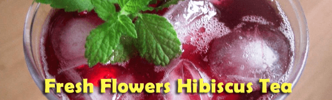How-to-make-Iced-Hibiscus-Tea-Recipe3.png
