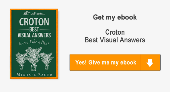 croton_give_me_my_ebook.gif
