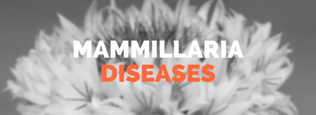 Mammillaria Diseases