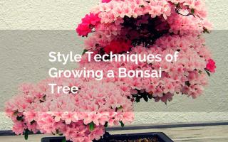 technic bonsai
