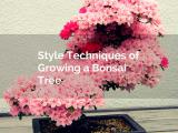 technic bonsai